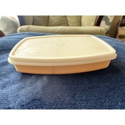 Tupperware Divided Lunch Container